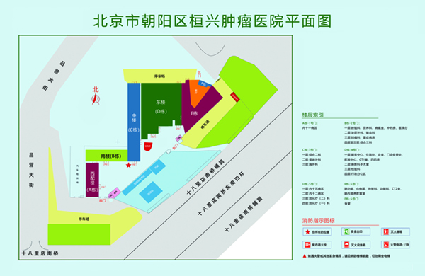 六月新操女人的比视频北京市朝阳区桓兴肿瘤医院平面图